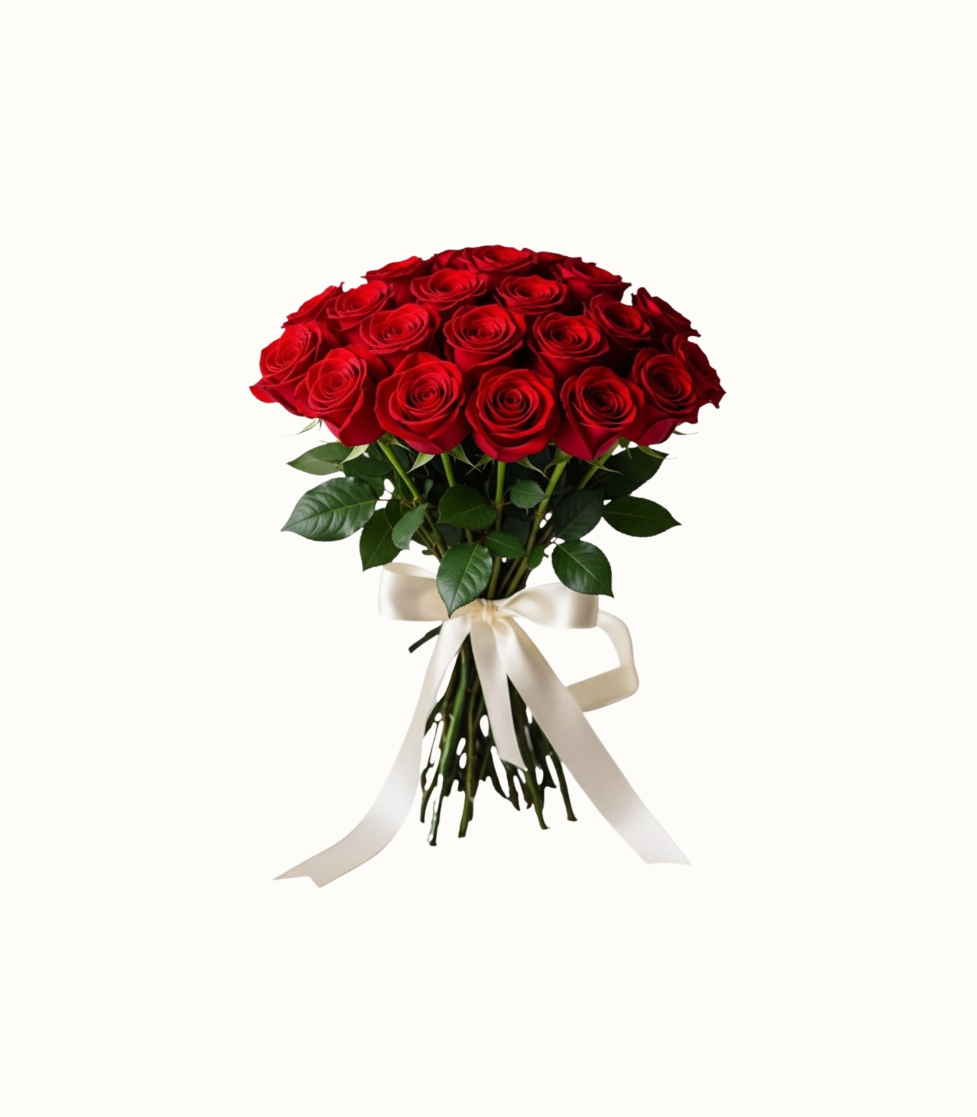 red-roses-flower red-roses-flower