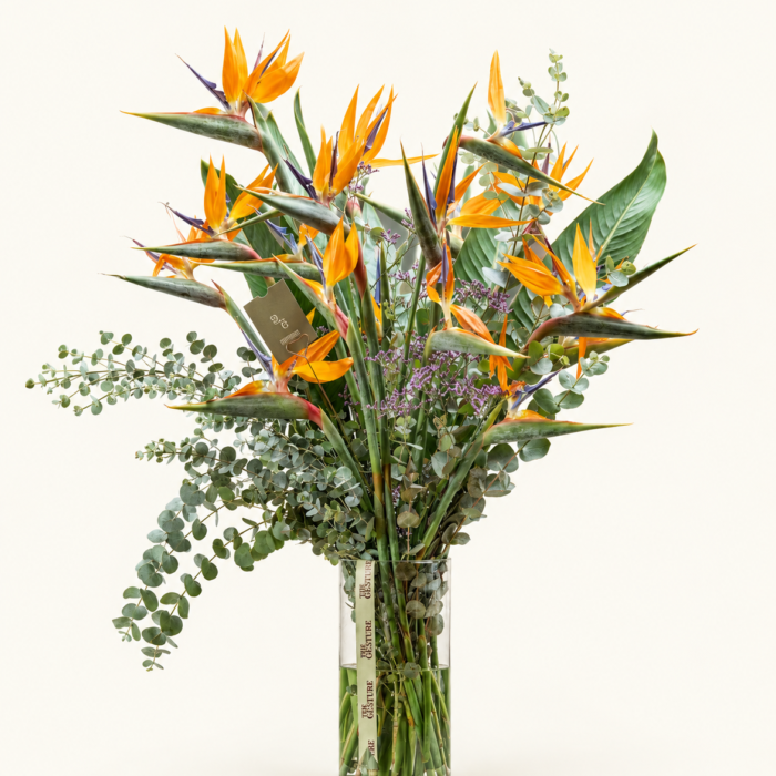 The Showbirds – Large Statement Arrangement
