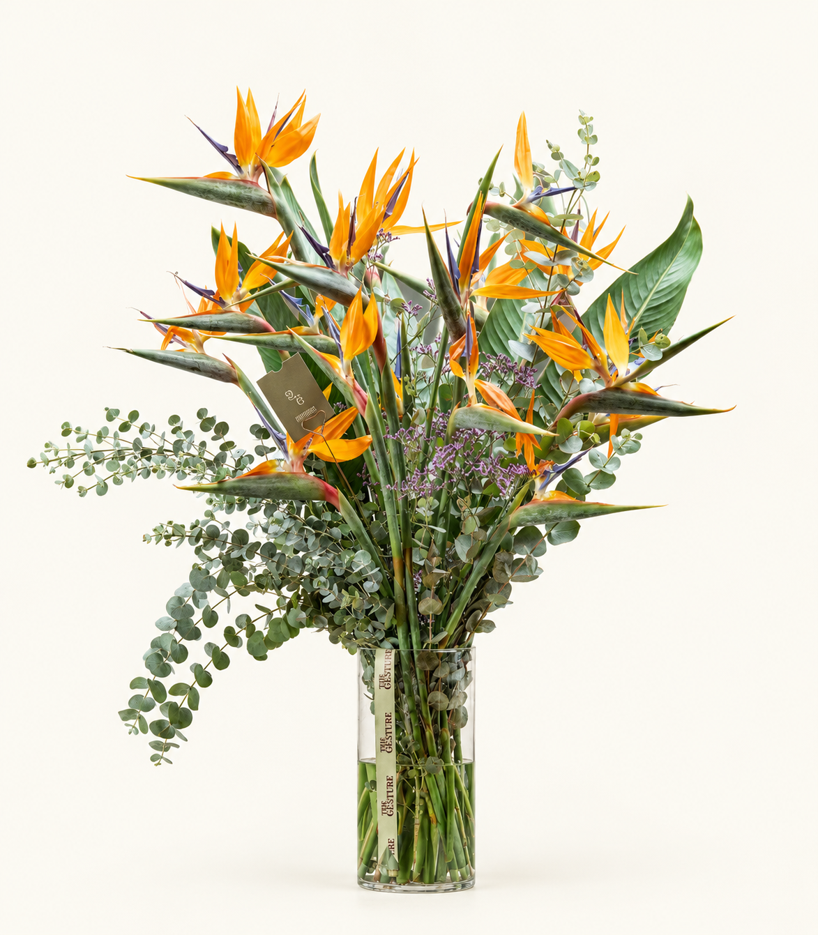 The Showbirds – Large Statement Arrangement